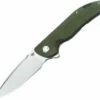 Bestech Bison Framelock Green BTKT1904C1