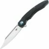 Bestech Fanga Linerlock Black G10 BTKG18A