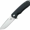 Bestech Lion G10 Linerlock Black BTKG01A