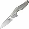 Bestech The Reticulan Framelock Gray BTKT1810A