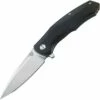 Bestech Warwolf G10 Linerlock Black BTKG04A