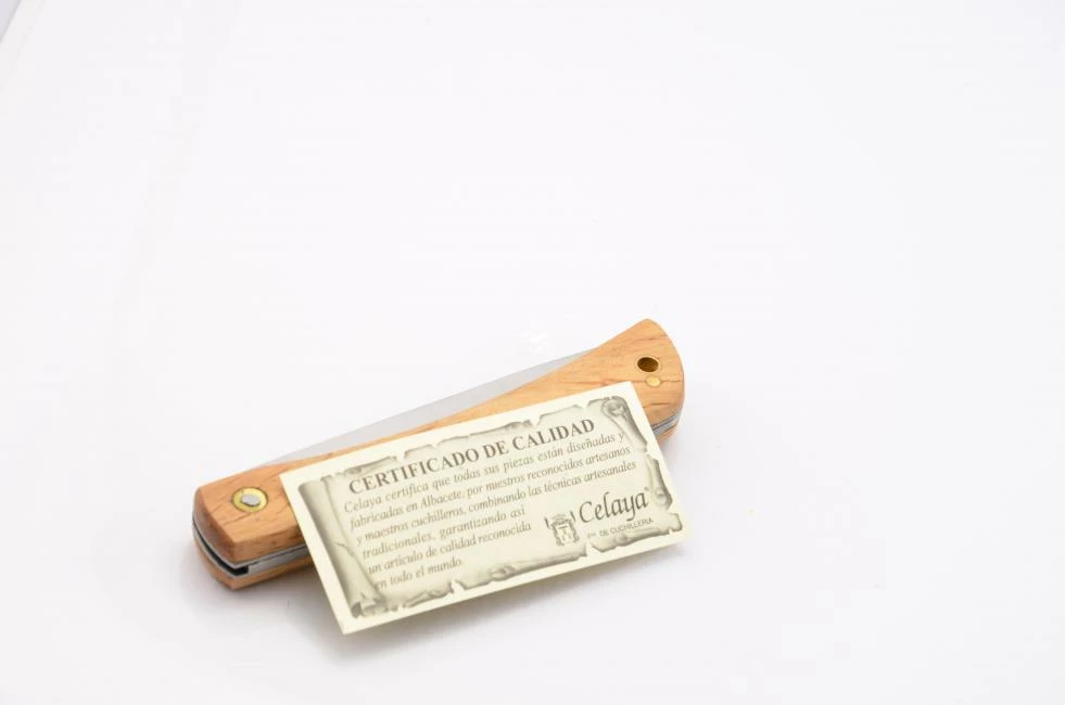 Celaya Camperas 4 Celaya Camperas - Image 4