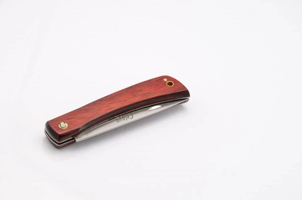 Celaya Camperas 5 Celaya Camperas - Image 5