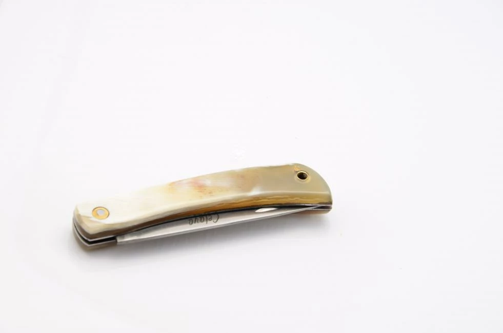 Celaya Camperas 2 4 Celaya Camperas 2 - Image 4