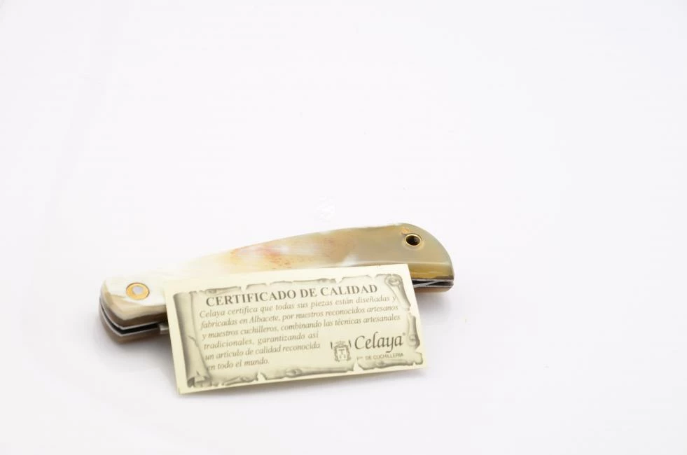 Celaya Camperas 2 3 Celaya Camperas 2 - Image 3