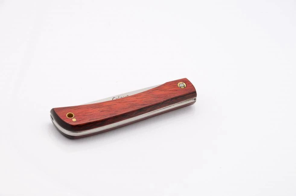 Celaya Camperas 4 Celaya Camperas - Image 4