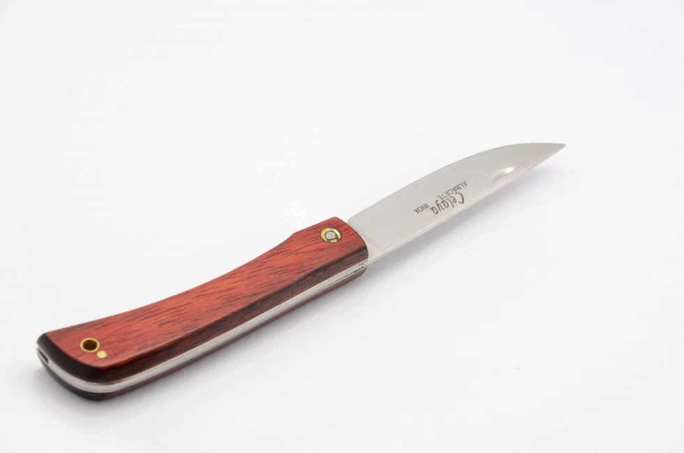 Celaya Camperas 3 Celaya Camperas - Image 3