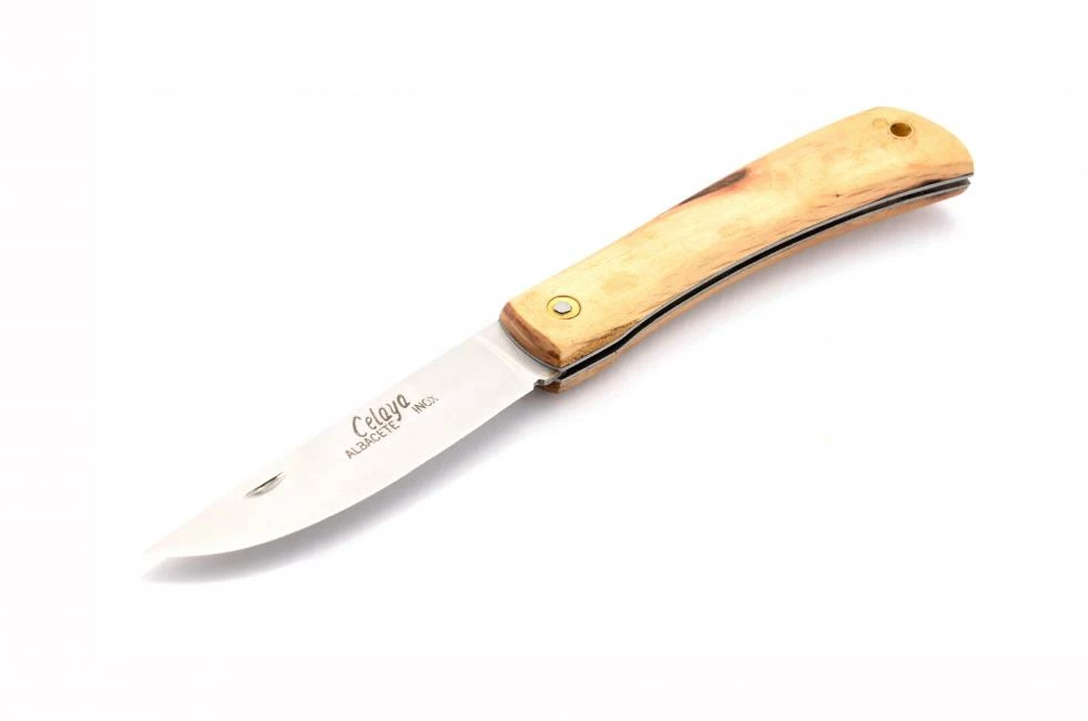 Celaya Camperas 1 Celaya Camperas