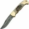 Damascus Lockback Stag