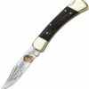 Buck Weld Folding Hunter Limited
