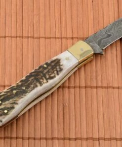 Euro-Knife Exclusive mushroom knife damascus with stag horn handmade -Pocket Knives sales exkluzivny hubarsky noz damaskovy s jelenim parohom rucne robeny ..