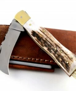Euro-Knife Exclusive mushroom knife with stag horn handmade
