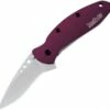 Kershaw Scallion Linerlock A/O Purple KS1620PUR