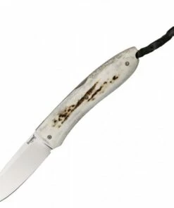 Lion Steel Big Opera Stag LST8810CE