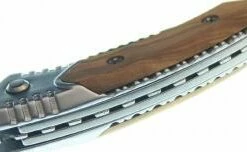 Knife Miguel Nieto LINEA PICNIC 097 -Pocket Knives sales products 2317 3 large m nieto olive wood folding picnic knife mn090