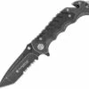 Smith & Wesson Smith & Wesson Border Guard Linerlock SWBG10S