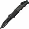 Smith & Wesson Smith & Wesson Border Guard Linerlock SWBG2TS