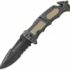 Smith & Wesson Smith & Wesson Border Guard Linerlock SWBG7S