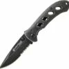 Smith & Wesson Smith & Wesson Oasis Linerlock SW421
