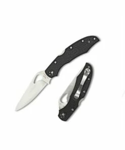 Spyderco Cara Cara 2 BY03PBK2