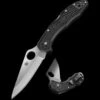 Spyderco Delica 4 Black SC11PBK