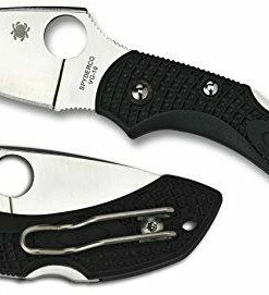 Spyderco Dragonfly 2 SC28PBK2