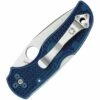Spyderco Native 5 Plain Blue SC41PDBL5