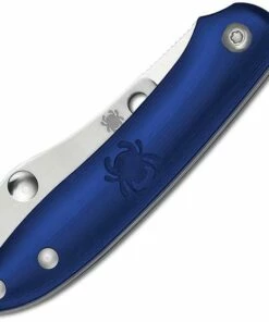 Spyderco Roadie Blue Plain SC189PBL