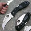 Spyderco Tasman Salt Black SC106PBK